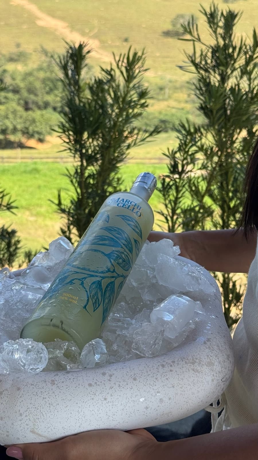 Cuba de gelo com a garrafa de Marchicello erguida diante de colinas verdes e um campo ao sol.